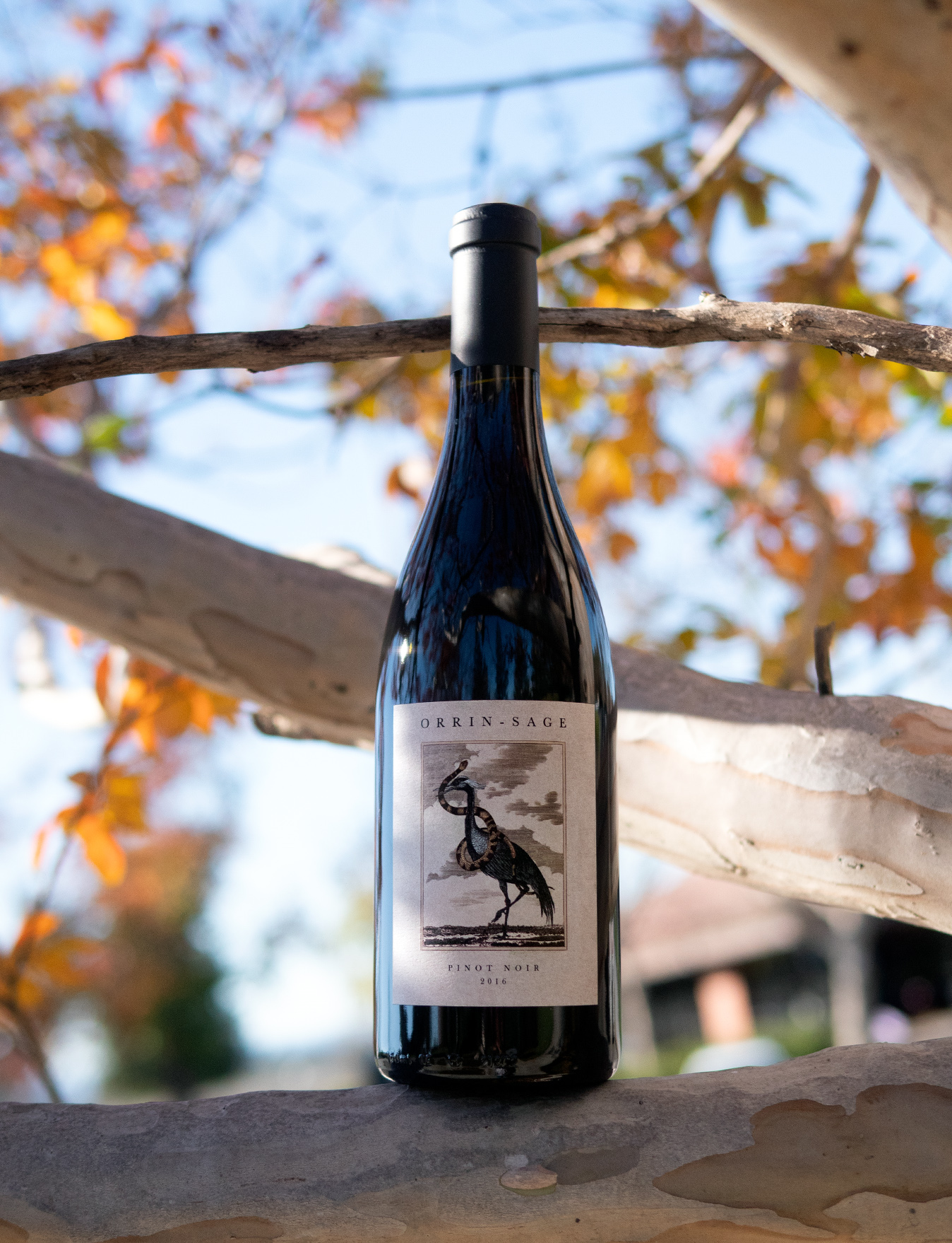 Orrin Sage 2016 Sonoma Mountain Pinot Noir 750ml Wine Bottle