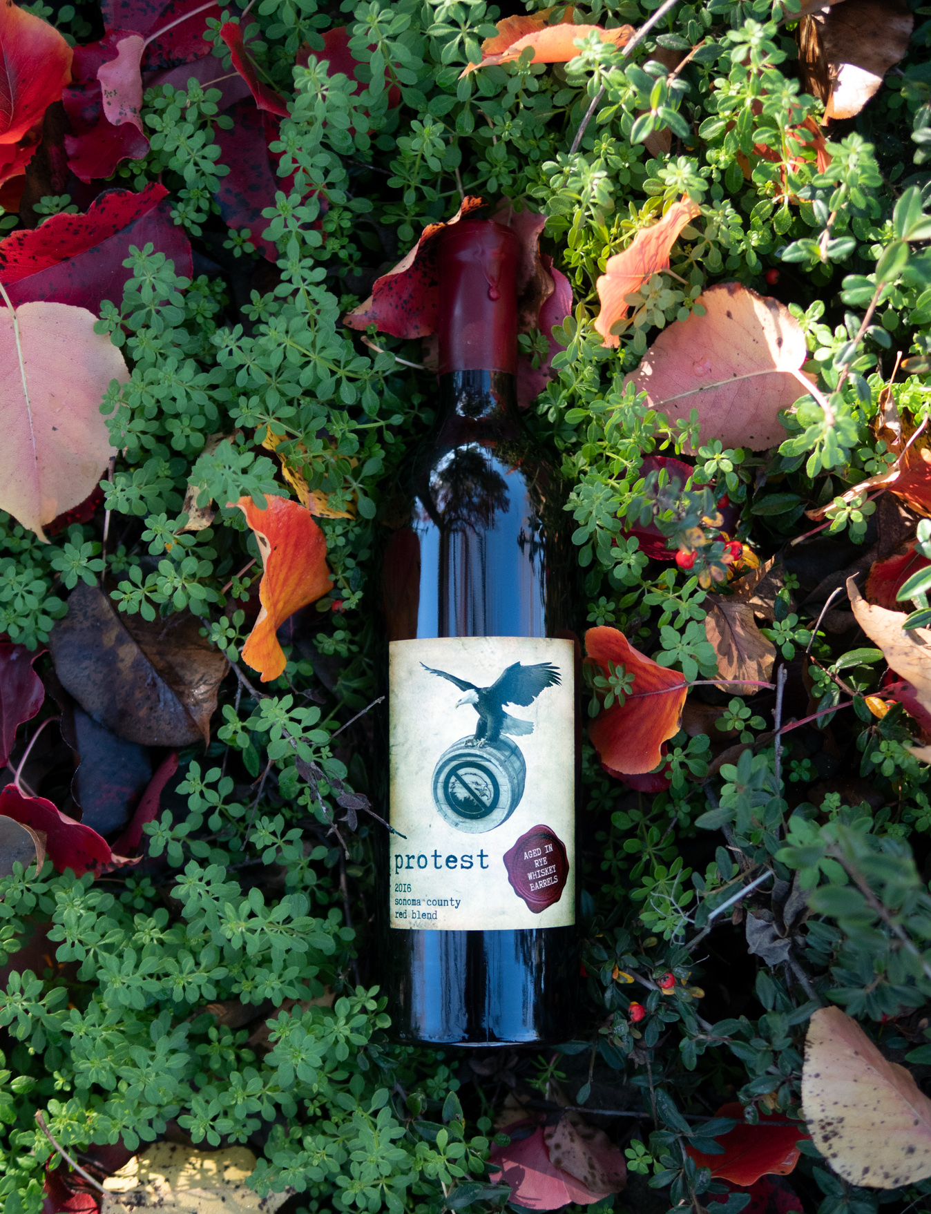 Chateau Diana 2016 "Protest" Sonoma County Red Blend 750ml Wine Bottle