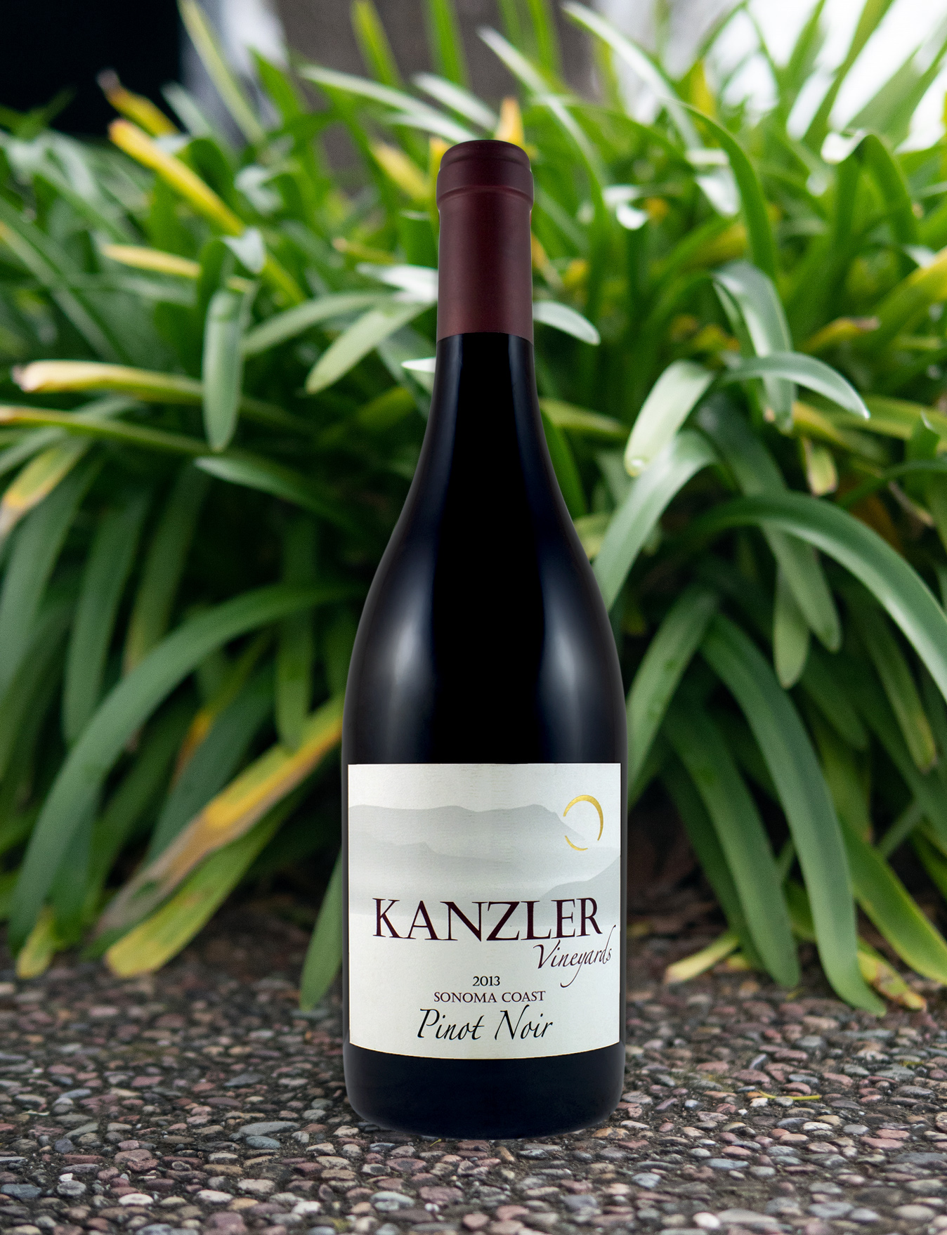 Kanzler Vineyards 2013 Sonoma Coast Pinot Noir 750ml Wine Bottle