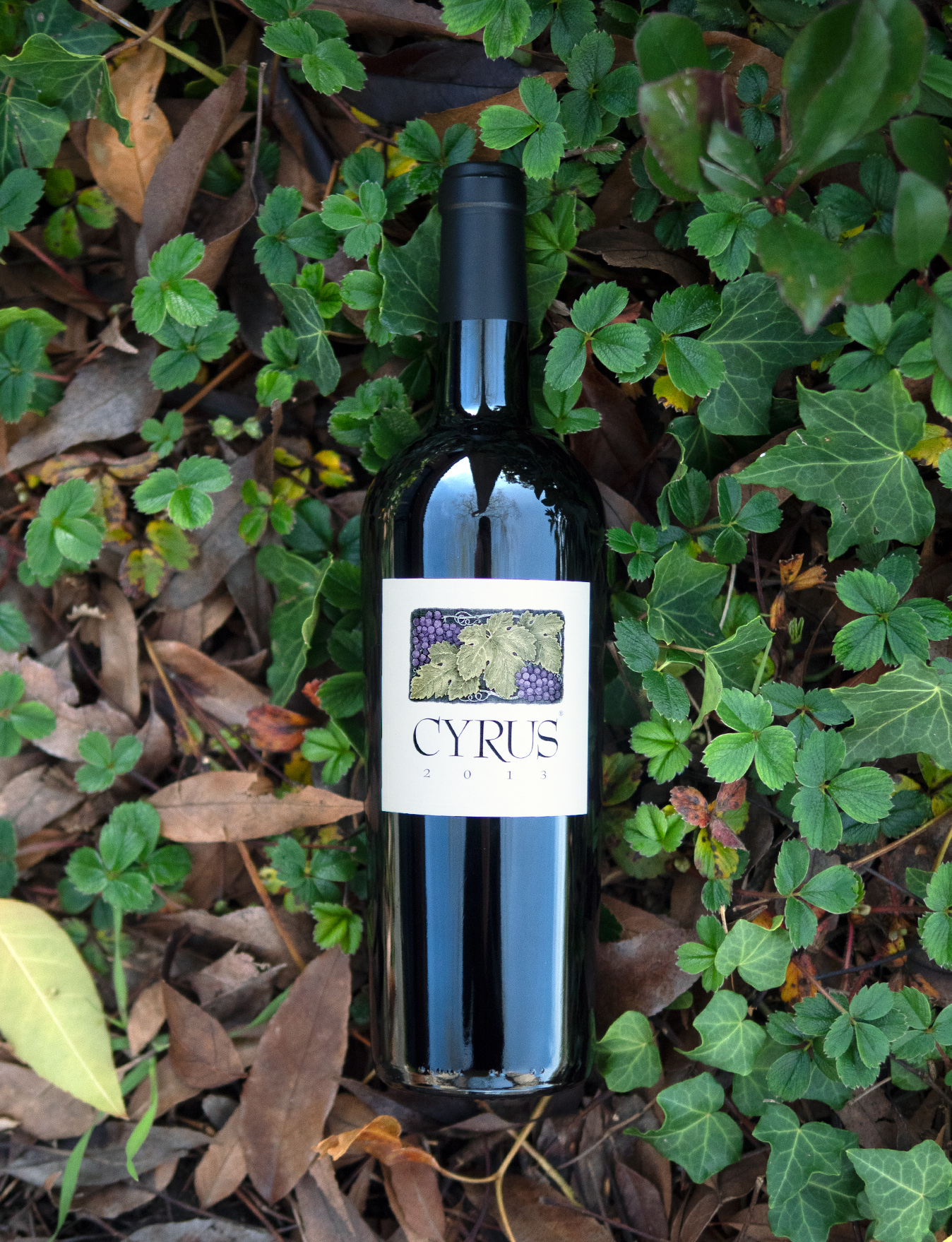 Alexander Valley Vineyards 2013 "Cyrus" Red Blend 750ml Wine Bottle