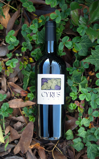 Alexander Valley Vineyards 2013 "Cyrus" Red Blend 750ml Wine Bottle