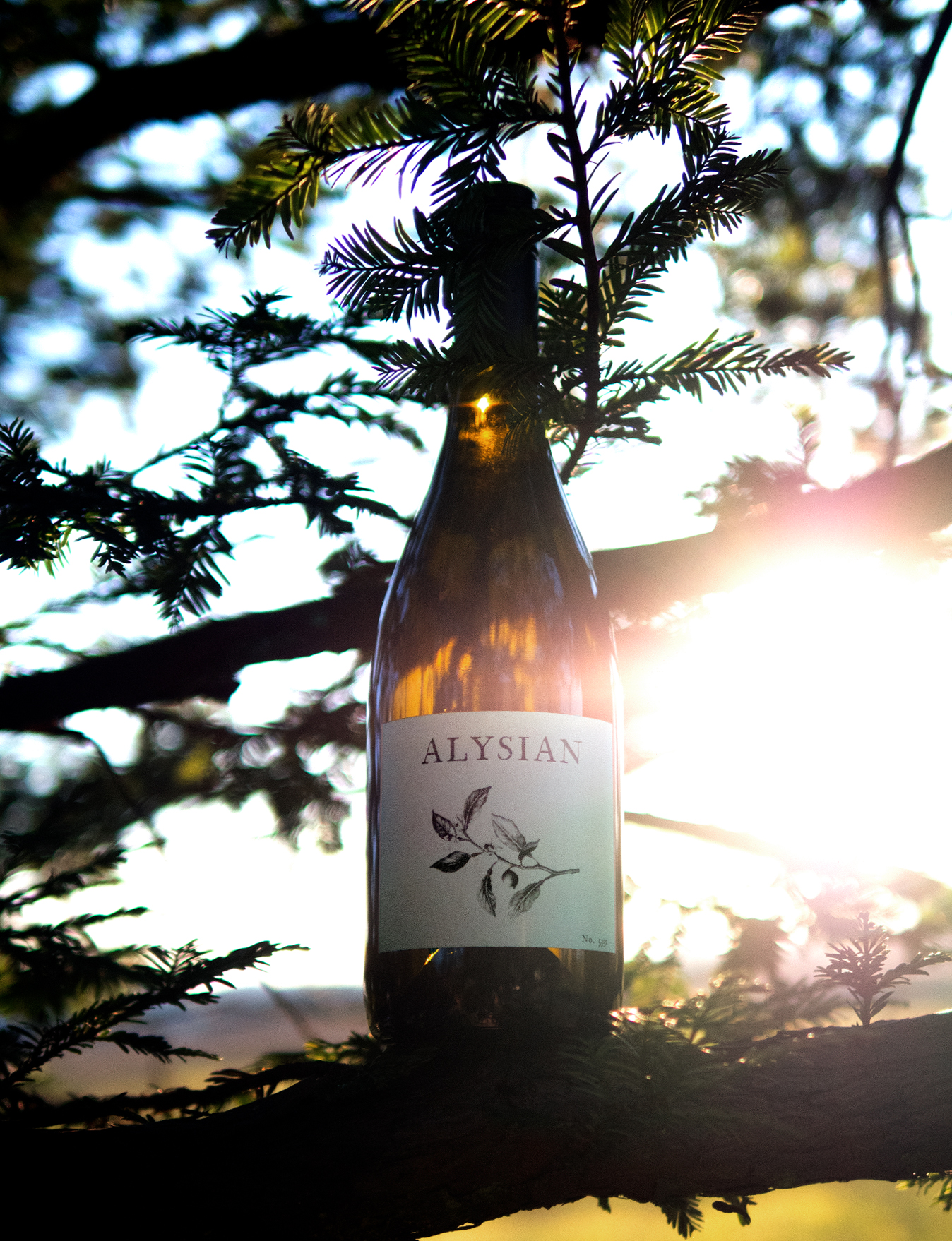 Alysian Wines 2017 Dry Creek Valley Sauvignon Blanc 750ml Wine Bottle