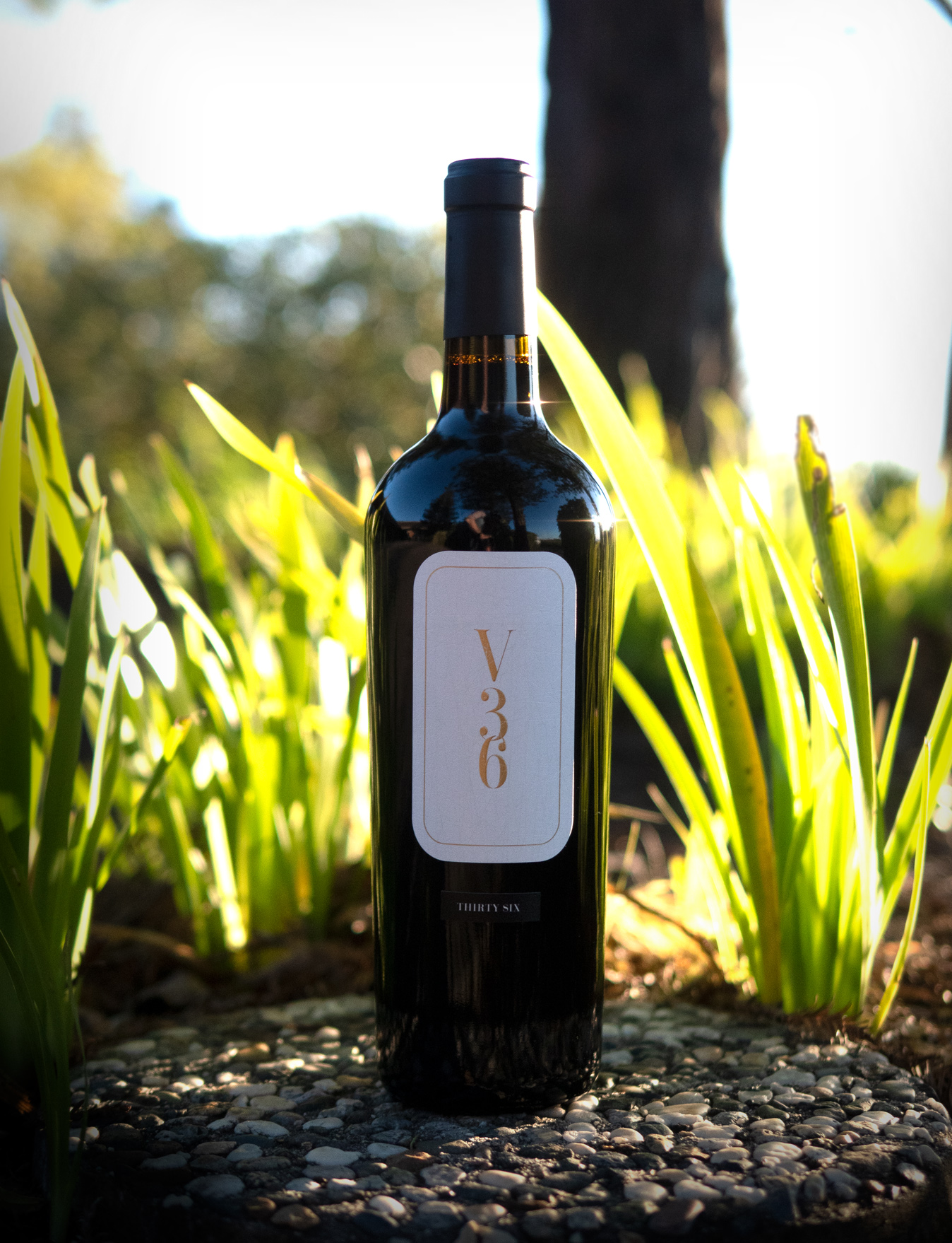 Vineyard 36 2016 Napa Valley Cabernet Sauvignon 750ml Wine Bottle