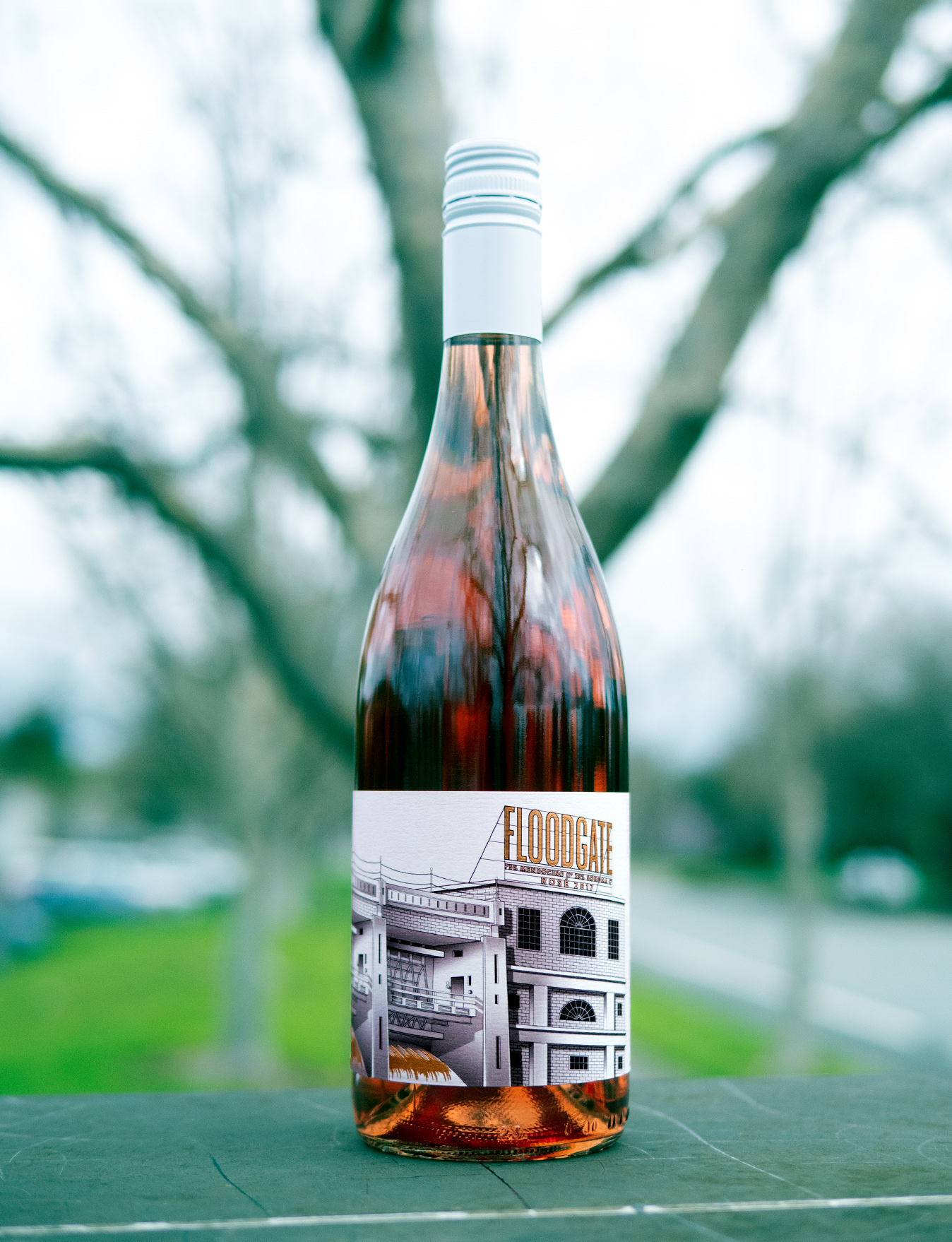 Floodgate Wine Co. 2017 Floodgate Wine Co. Rose 750ml Wine Bottle