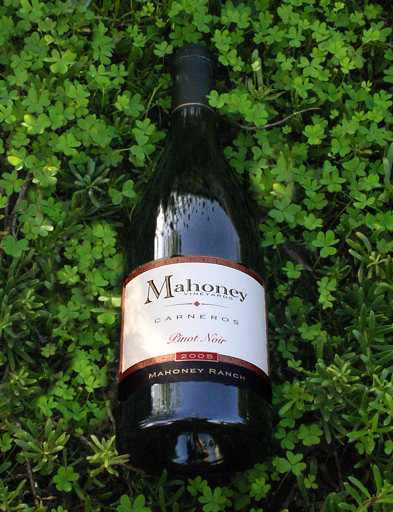 Mahoney Vineyards 2005 Mahoney Ranch Pinot Noir 750ml Wine Bottle