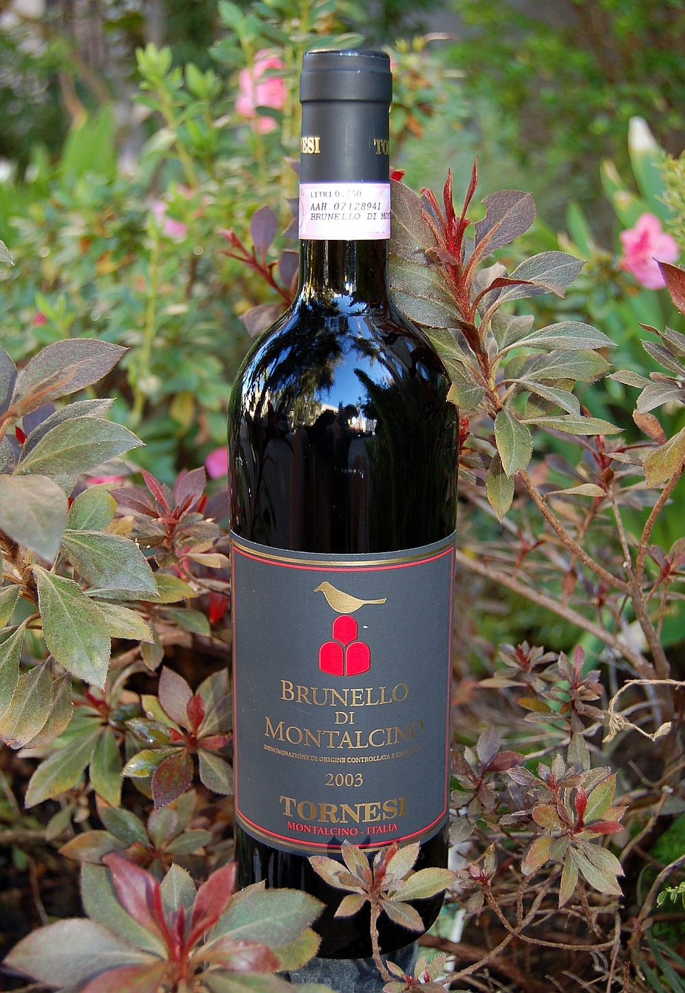 Le Benducce de Tornesi 2003 Brunello di Montalcino DOCG 750ml Wine Bottle