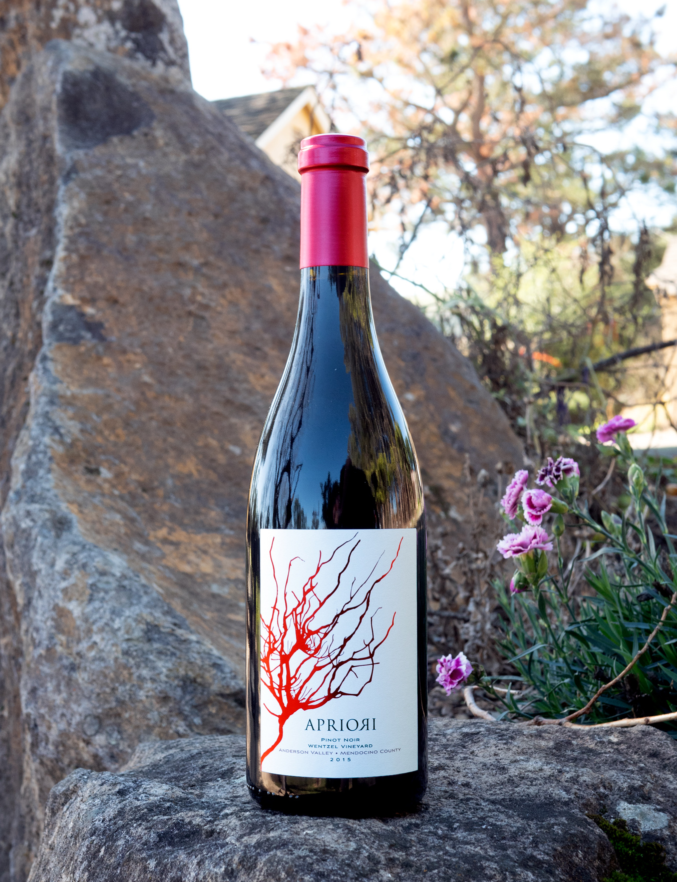 Apriori Cellar 2015 Wentzel Vineyard Anderson Valley Pinot Noir 750ml Wine Bottle