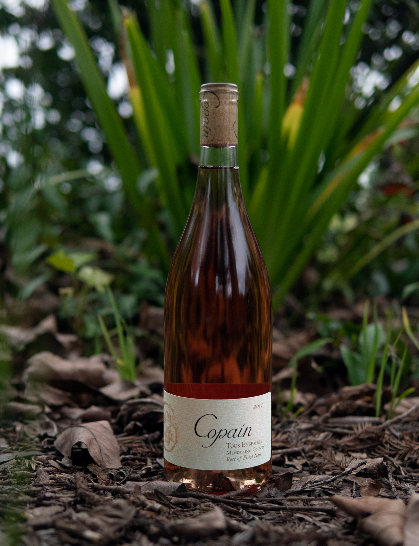 Copain 2017 Mendocino County "Tous Ensemble" Rose of Pinot Noir 750ml Wine Bottle