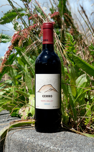 JDB Wines 2013 'Cerro' Napa Valley Merlot 750ml Wine Bottle