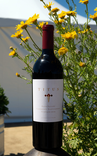 Titus Vineyards 2016 Napa Valley Cabernet Sauvignon 750ml Wine Bottle