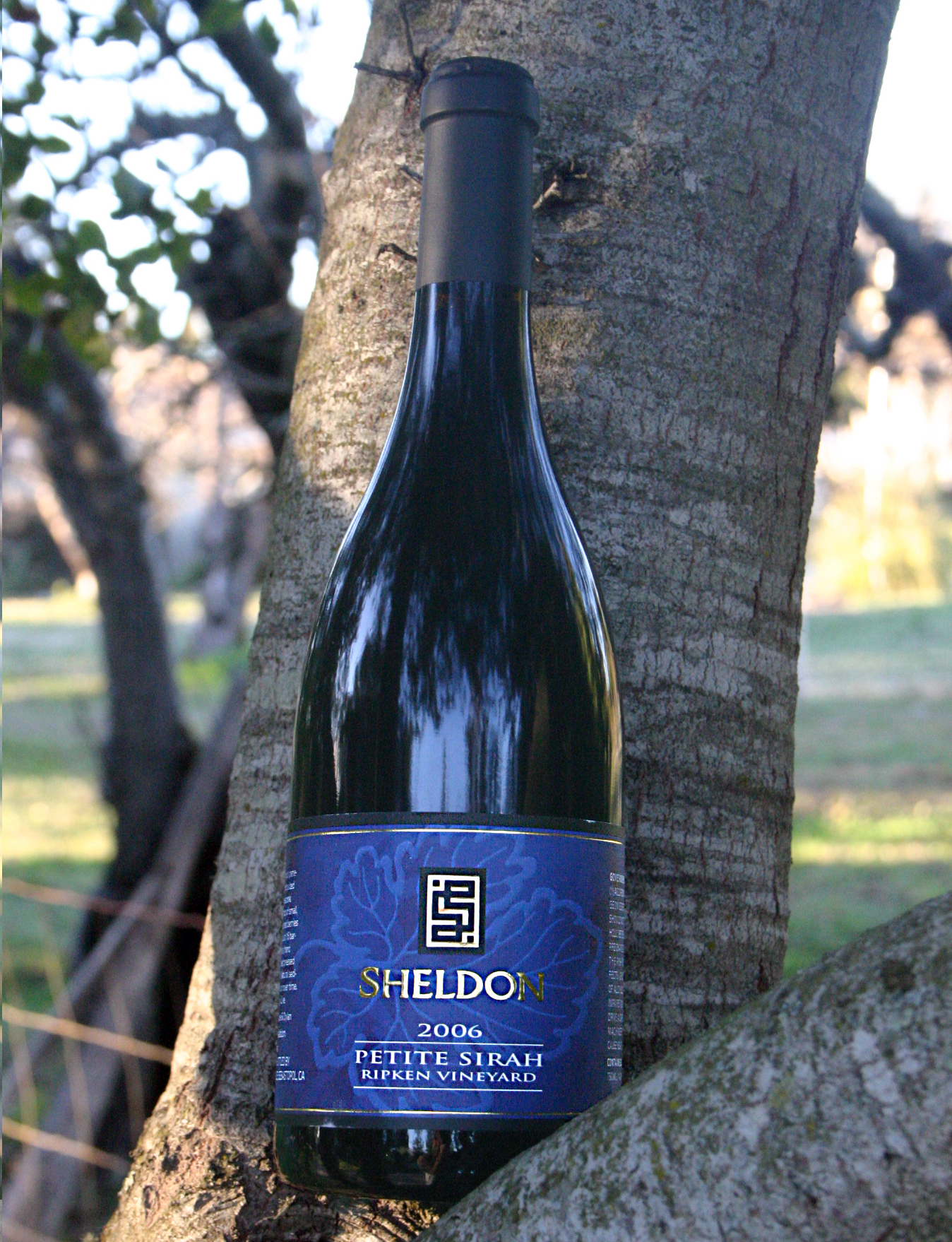 Sheldon Wines 2006 Ripken Vineyard Petite Sirah 750ml Wine Bottle
