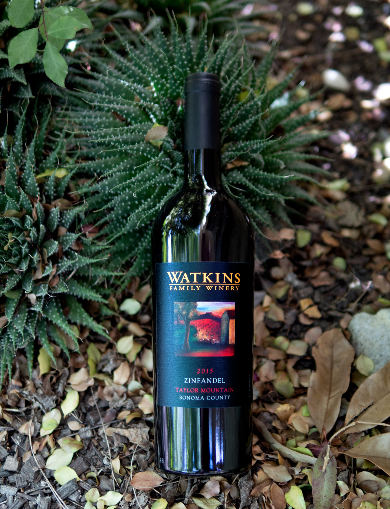 Watkins Family Winery 2015 Taylor Mountain Sonoma County Zinfandel 750ml Wine Bottle