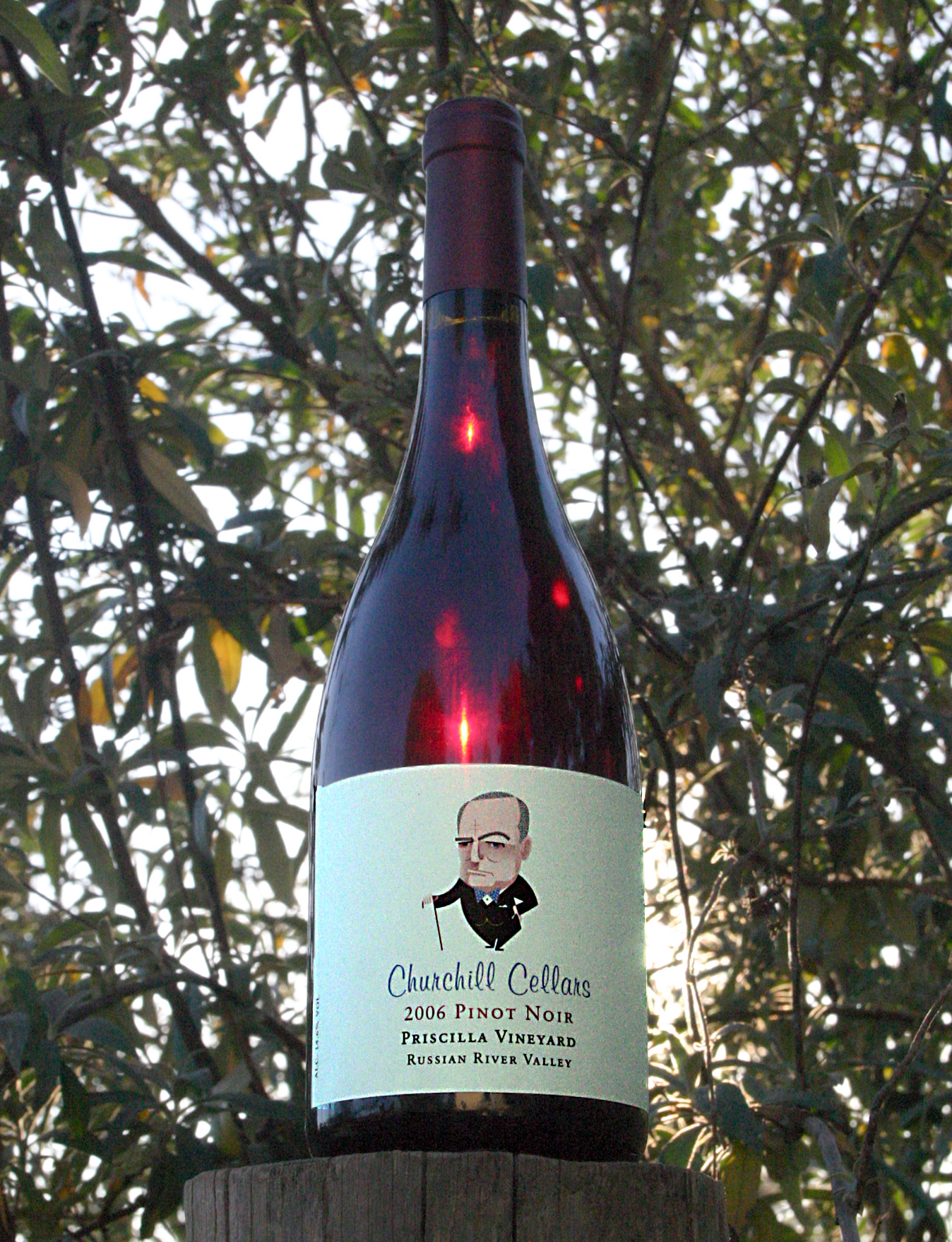 Churchill Cellars 2006 Priscilla Vineyard Pinot Noir 750ml Wine Bottle