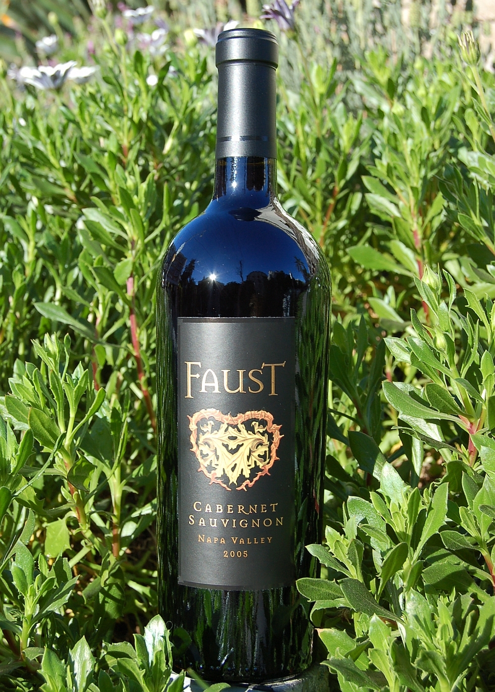 Faust 2005 Napa Valley Cabernet Sauvignon 750ml Wine Bottle
