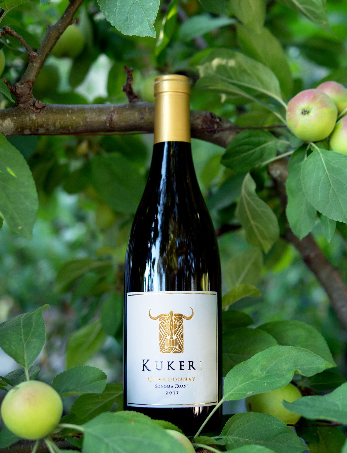 Kukeri Wines 2017 Sonoma Coast Chardonnay 750ml Wine Bottle