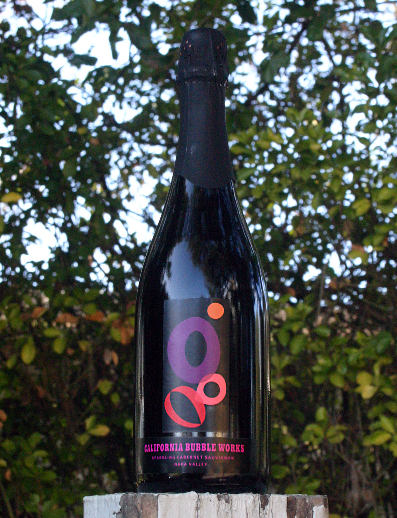 Avventura Vintners NV California Bubble Works 750ml Wine Bottle