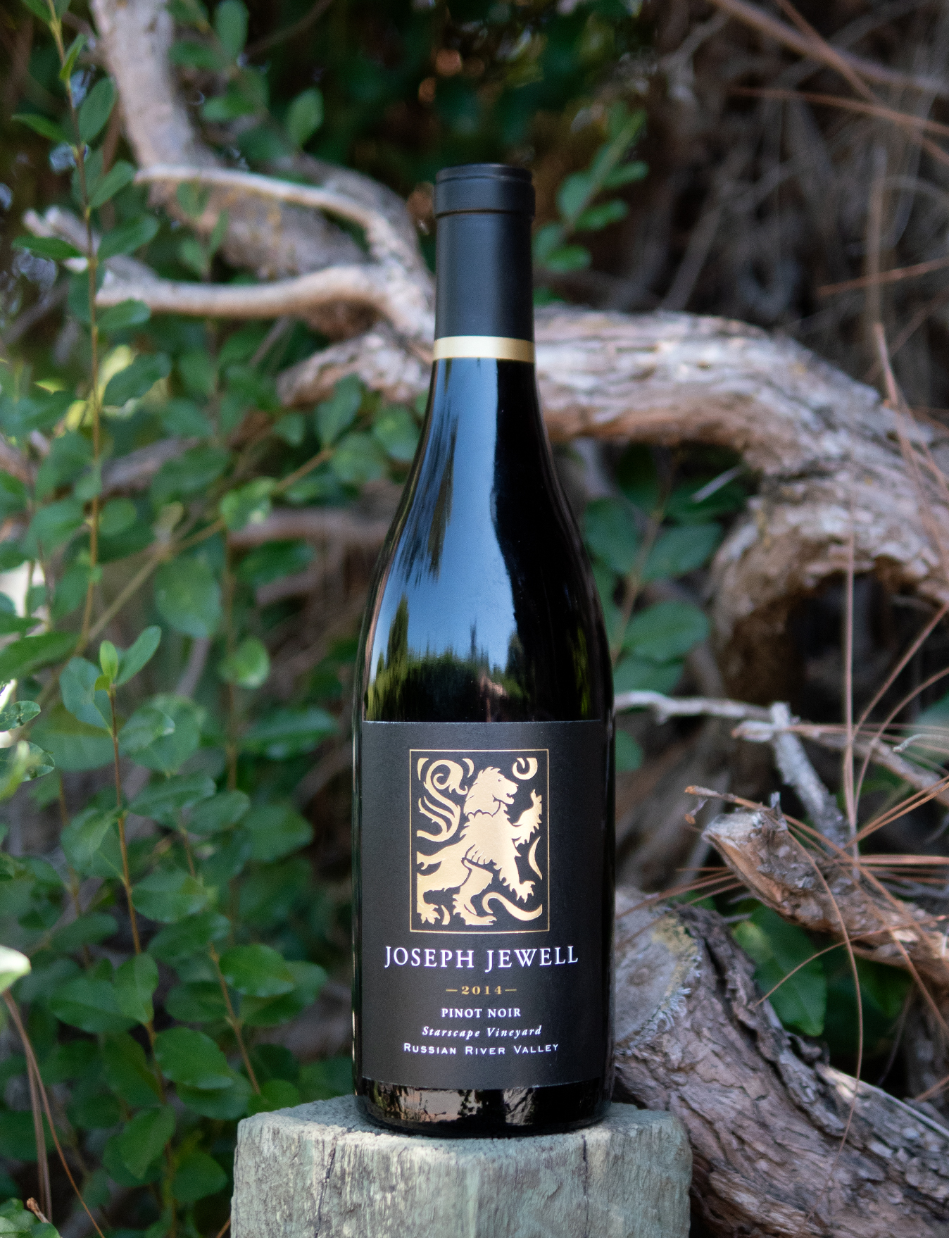 Joseph Jewell 2014 Starscape Vineyard Russian River Valley Pinot Noir 750ml Wine Bottle