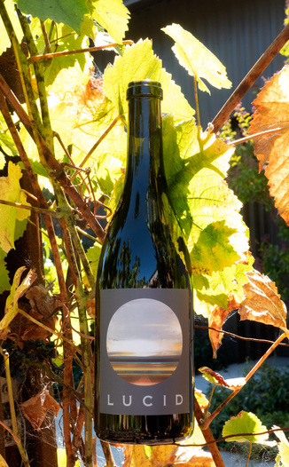 Lucid 2018 'Manifesto' L.03 Sierra Foothills Barbera 750ml Wine Bottle