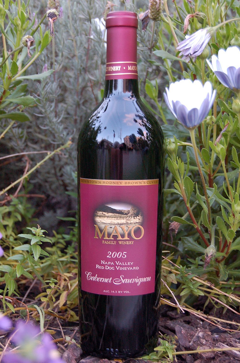 Mayo Family Winery 2005 Red Dog Vineyard Cabernet Sauvignon 750ml Wine Bottle