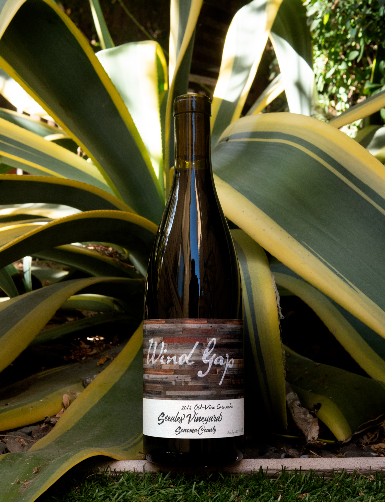 Wind Gap 2016 Sceales Vineyard Sonoma County Old-Vine Grenache 750ml Wine Bottle