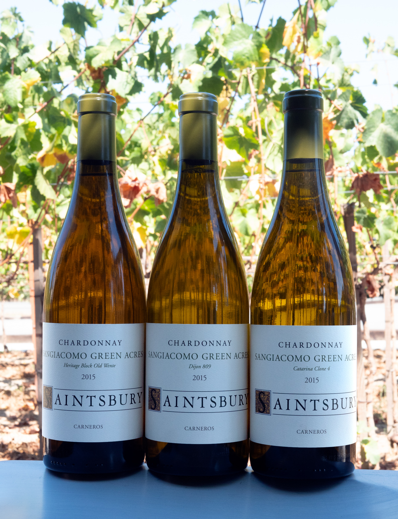 Saintsbury 2015 'Clonal Exploration Trio' Sangiacomo Green Acres Carneros Chardonnay 3 Pack 750ml Wine Bottle