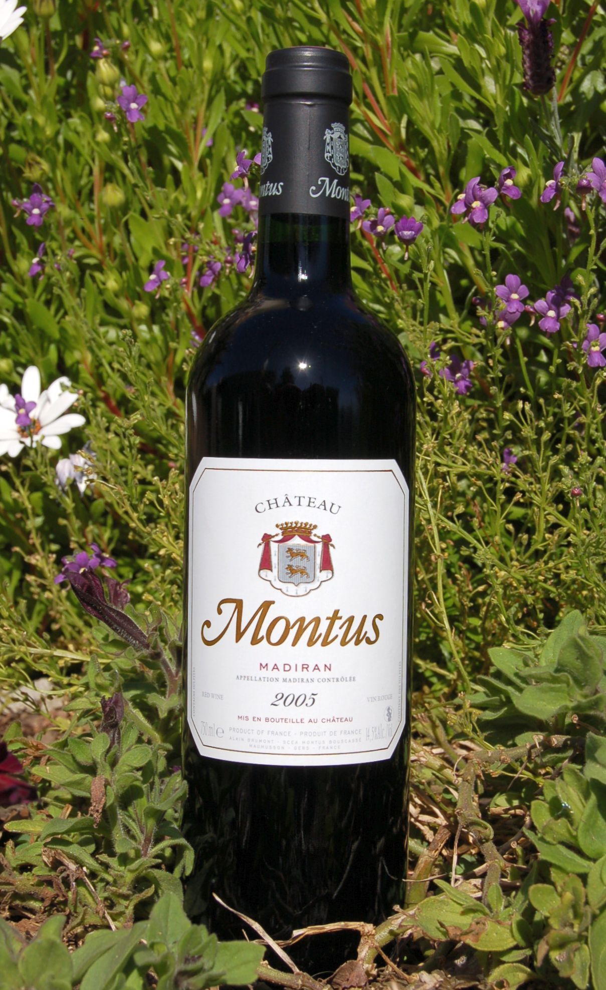 Chateau Montus 2005 Madiran AOC 750ml Wine Bottle