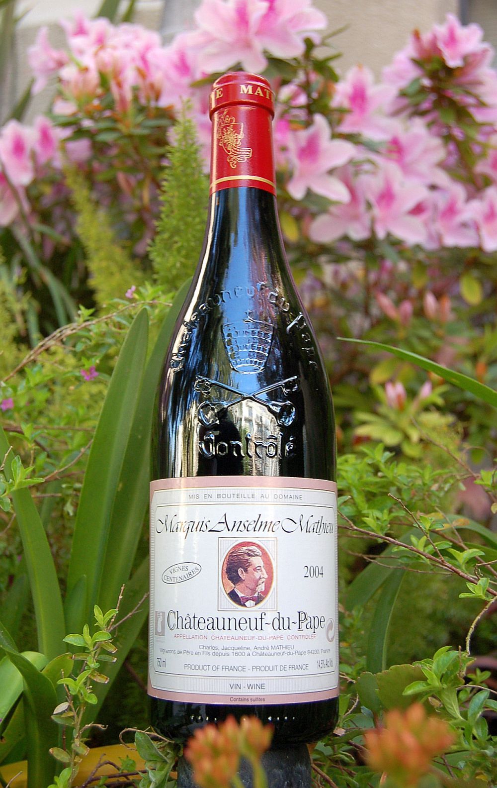 Domaine Mathieu 2004 Cuvée Marquis Anselme Mathieu 750ml Wine Bottle