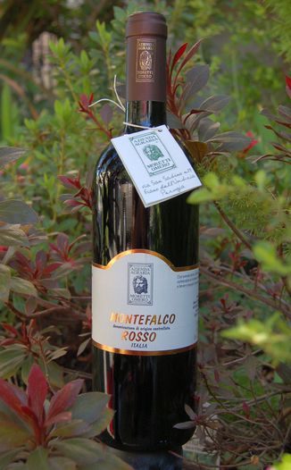 Moretti Omero 2005 Montefalco Rosso DOC 750ml Wine Bottle