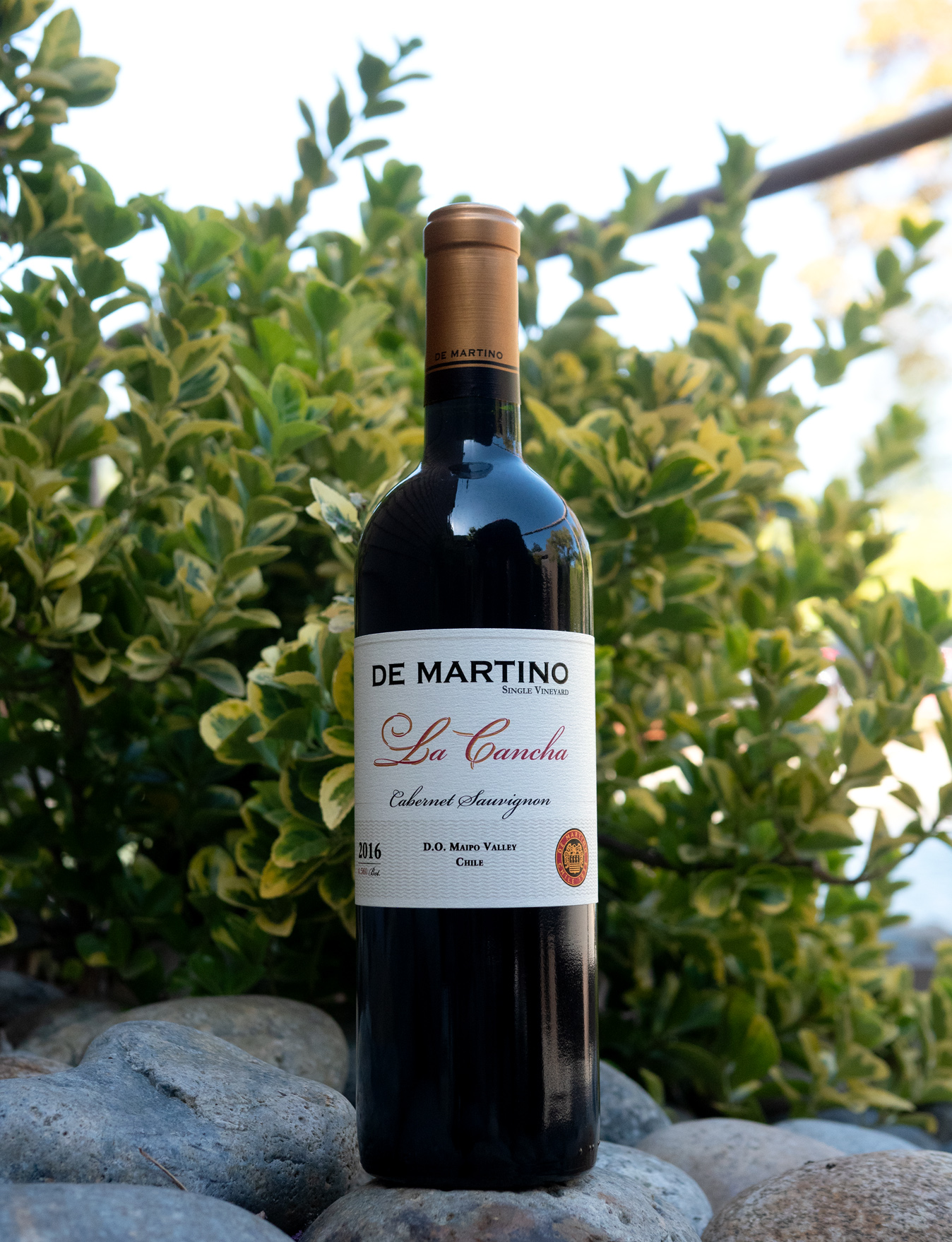 De Martino 2016 'La Cancha' Single Vineyard Maipo Valley Cabernet Sauvignon 750ml Wine Bottle