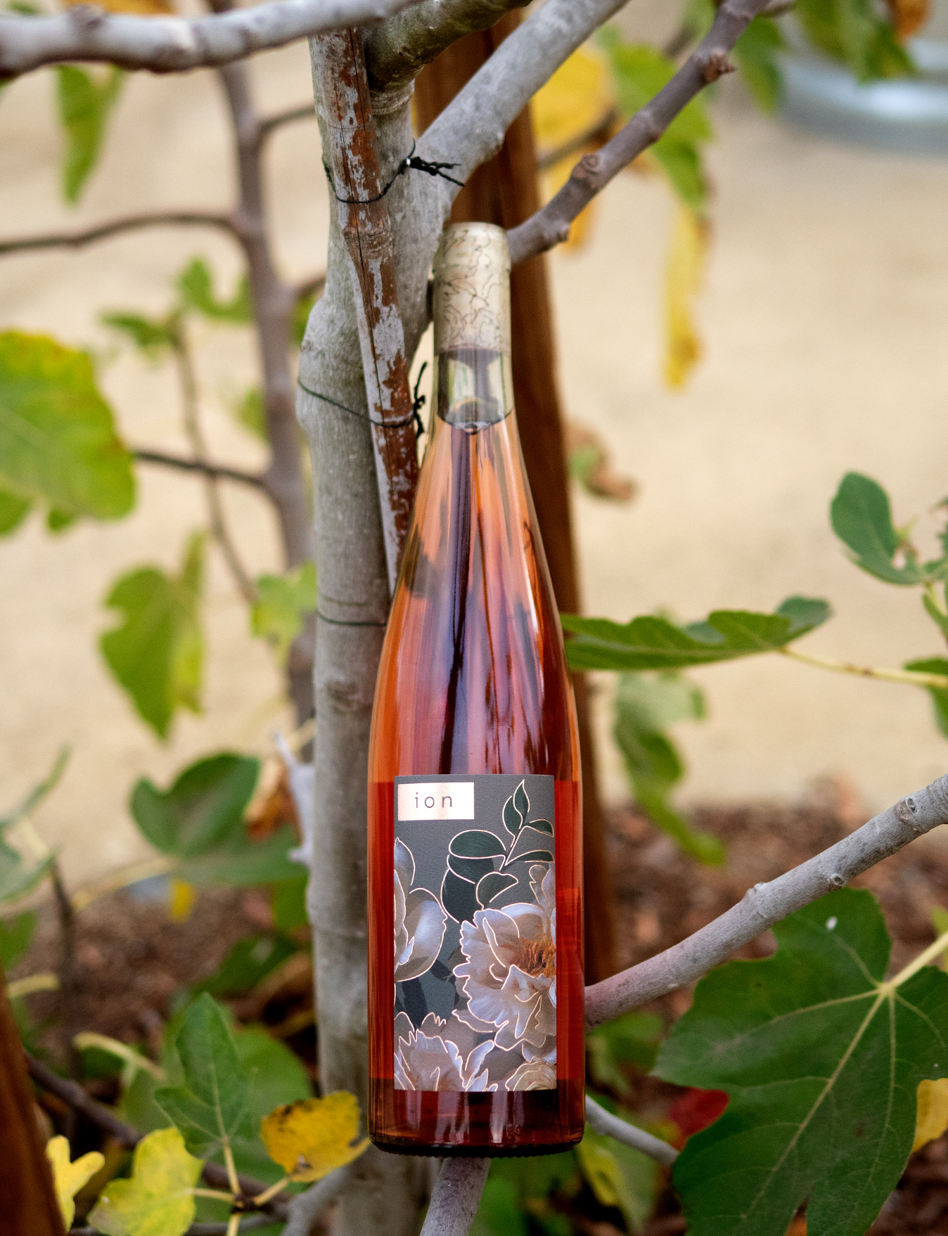 Ion Wines 2018 Rosé of Pinot Noir 750ml Wine Bottle