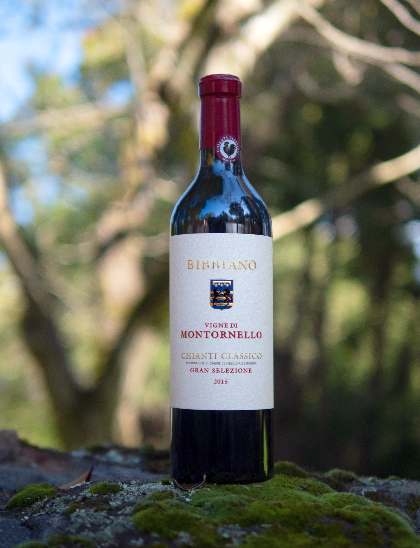 Tenuta di Bibbiano 2015 'Vigne di Montornello' Chianti Classico Gran Selezione DOCG 750ml Wine Bottle