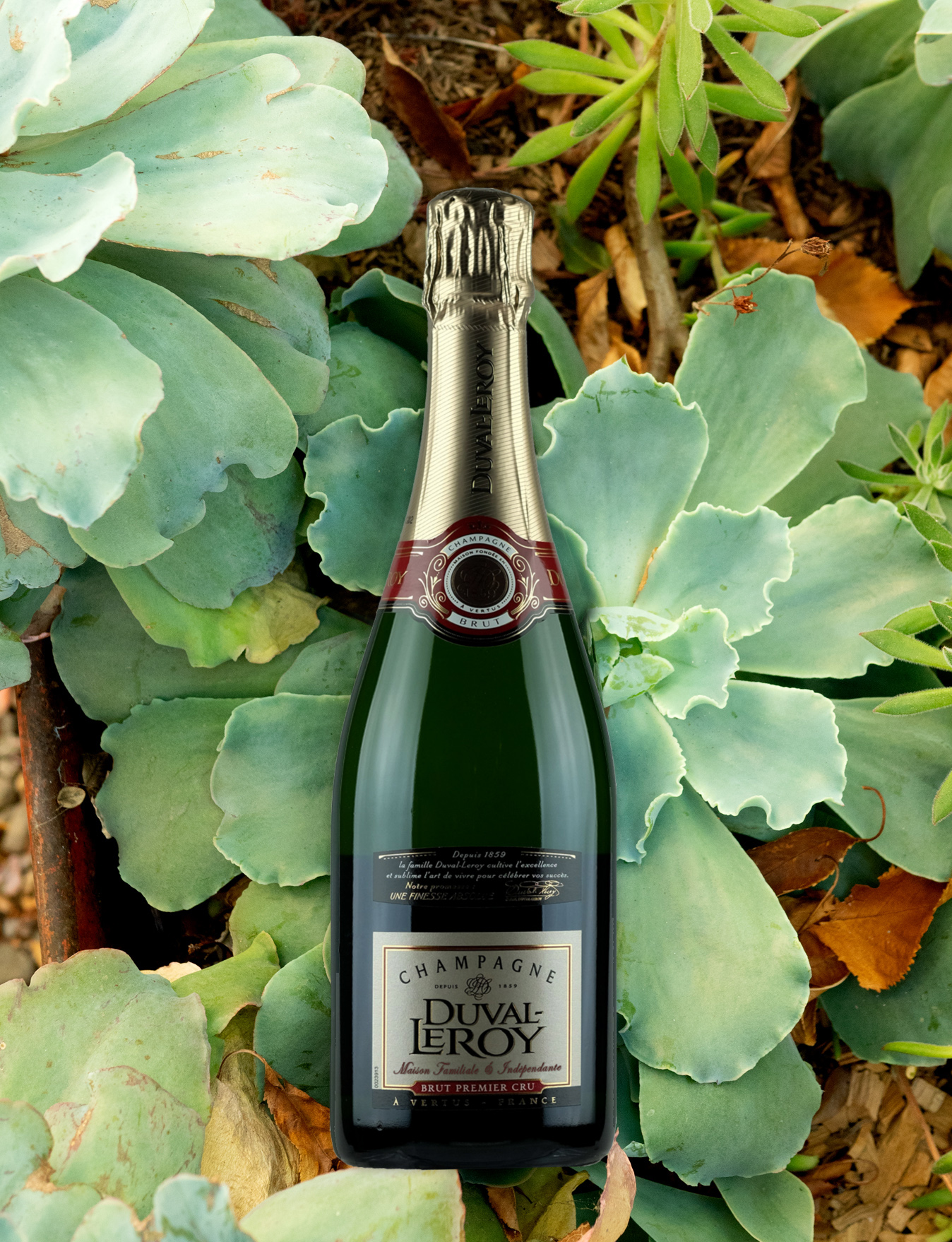 Champagne Duval-Leroy NV Brut Premier Cru 750ml Wine Bottle