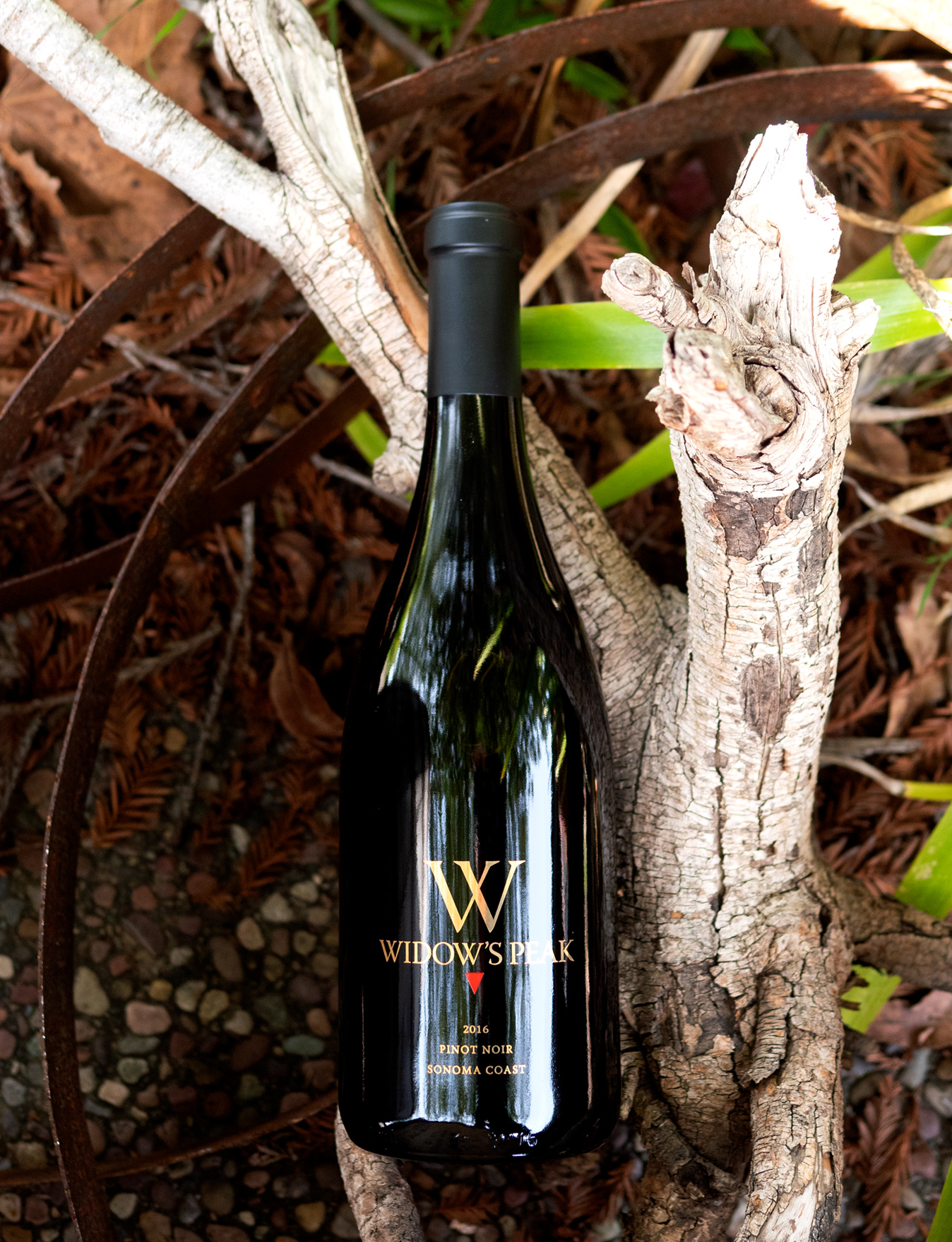 Beau Vigne 2016 'Widow's Peak' Sonoma Coast Pinot Noir 750ml Wine Bottle