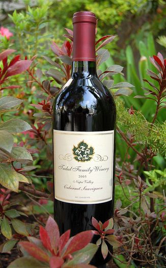 Tudal Family Winery 2005 Tudal Family Cabernet Sauvignon 750ml Wine Bottle