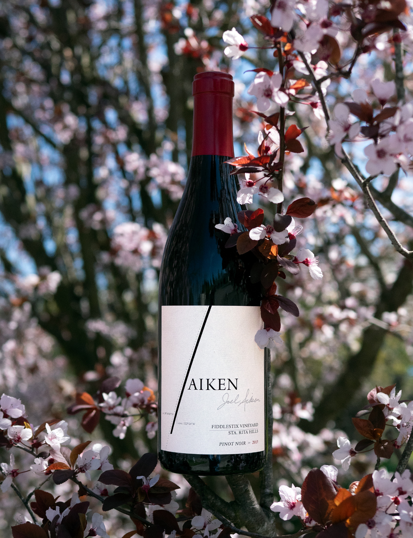 Aiken 2013 Fiddlestix Vineyard Santa Rita Hills Pinot Noir 750ml Wine Bottle