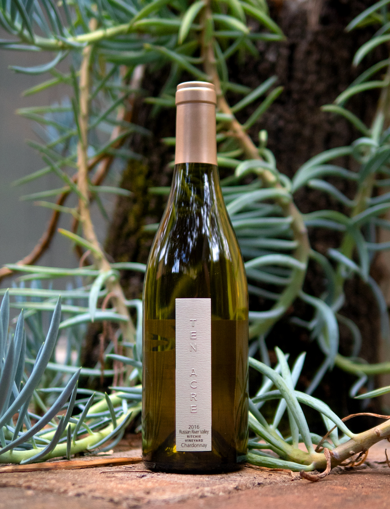 Ten Acre 2016 Ritchie Vineyard Russian River Valley Chardonnay 750ml Wine Bottle