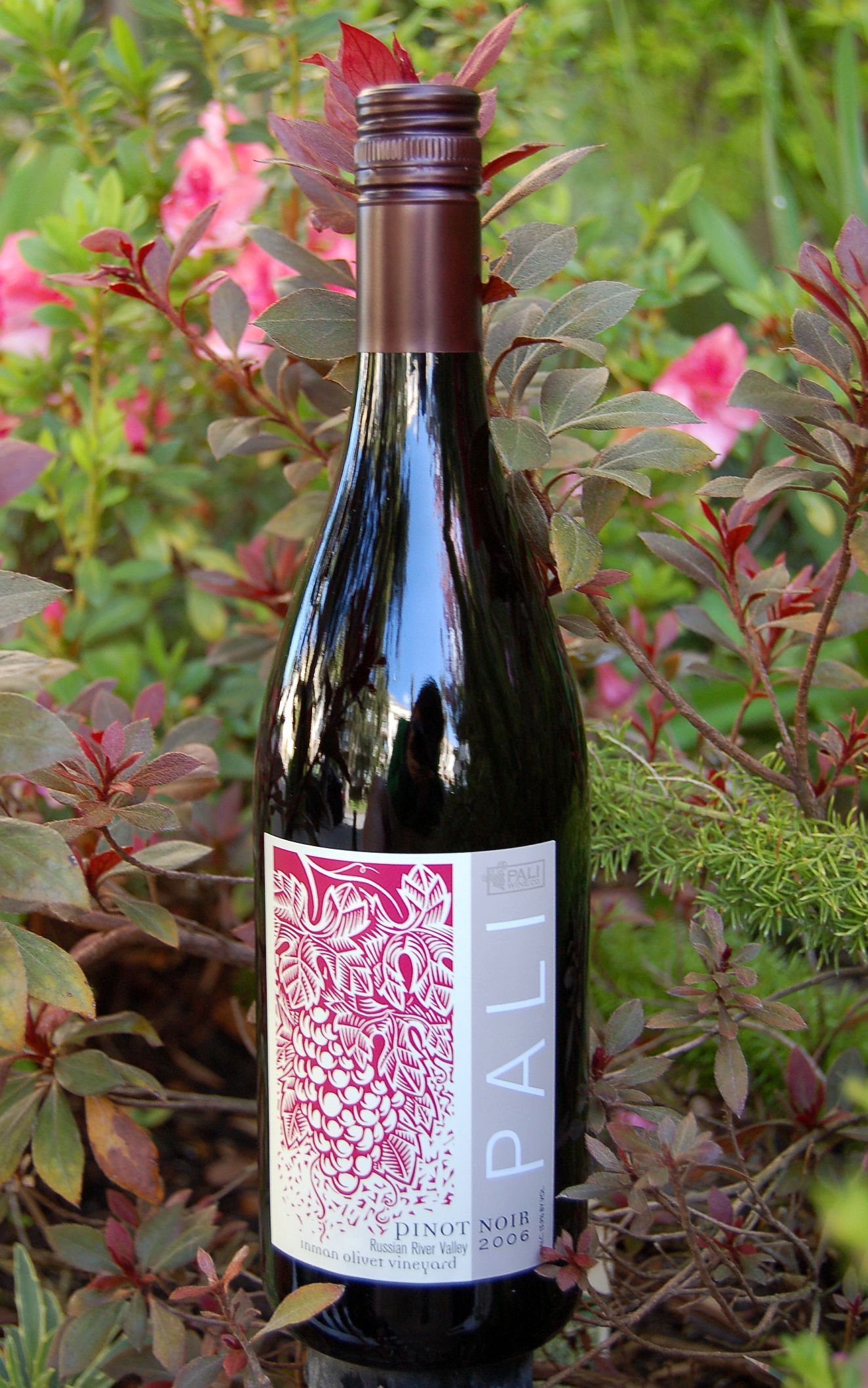 Pali Wine Company 2006 Russian River Valley Pinot Noir 750ml Wine Bottle