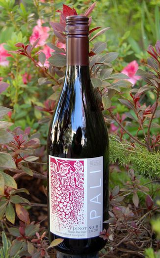 Pali Wine Company 2006 Russian River Valley Pinot Noir 750ml Wine Bottle