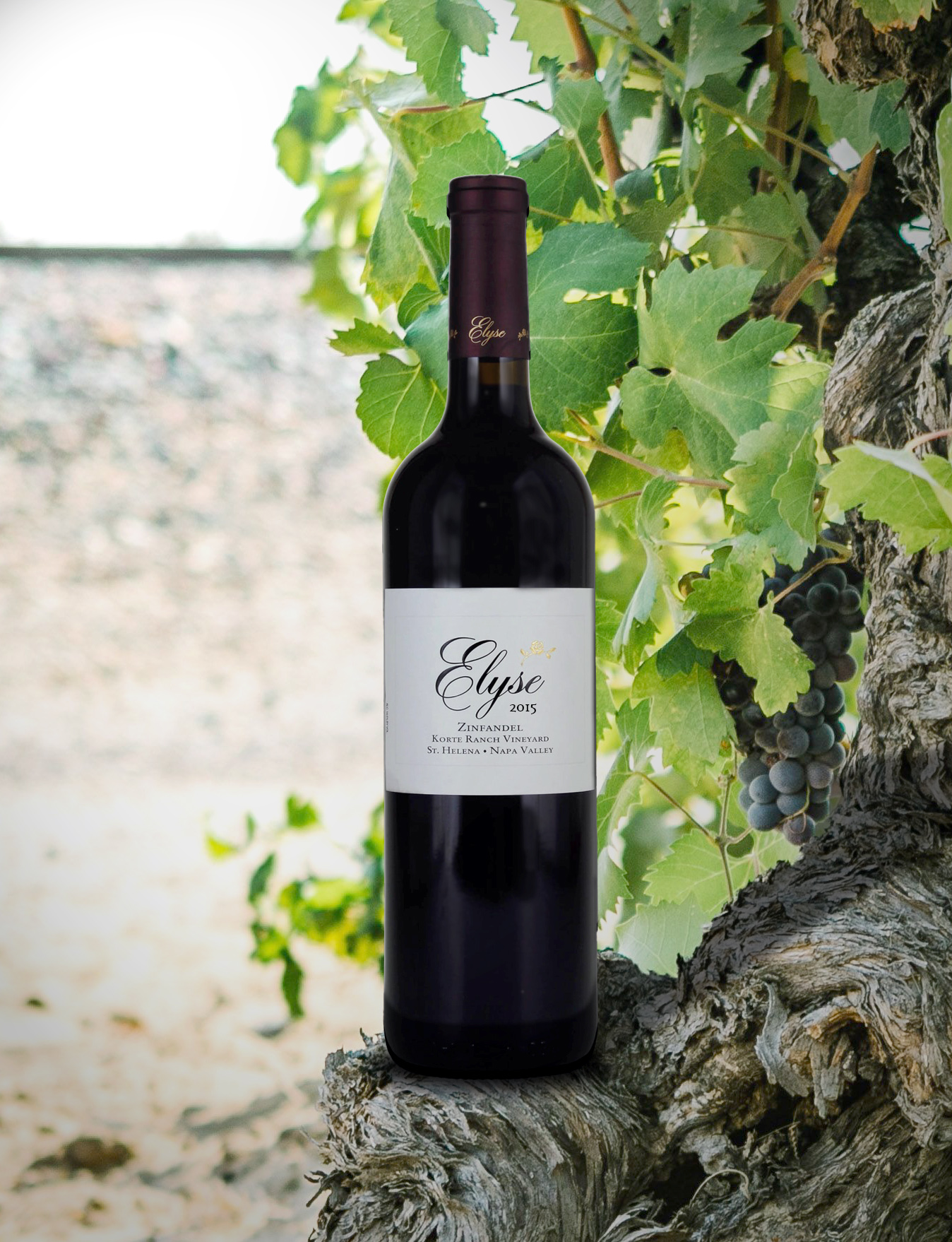 Elyse Winery 2015 'Korte Ranch' St. Helena Napa Valley Zinfandel 750ml Wine Bottle