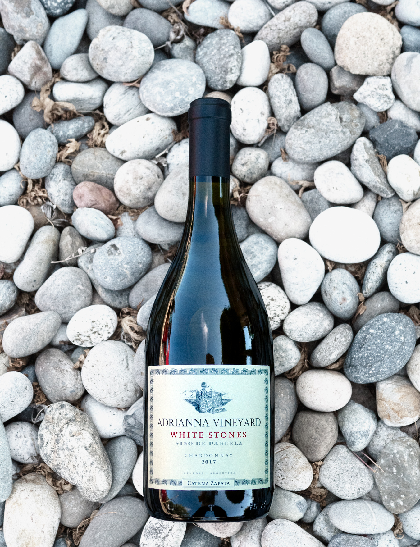Bodega Catena Zapata 2017 'White Stones' Mendoza Chardonnay 750ml Wine Bottle
