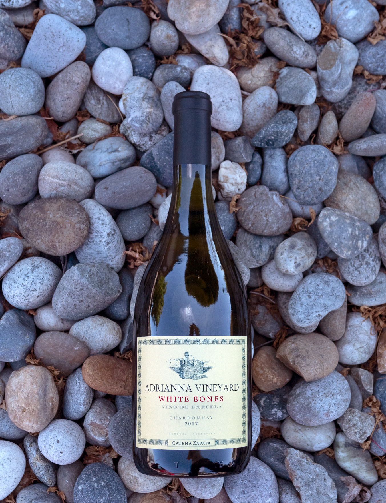 Bodega Catena Zapata 2017 'White Bones' Mendoza Chardonnay 750ml Wine Bottle