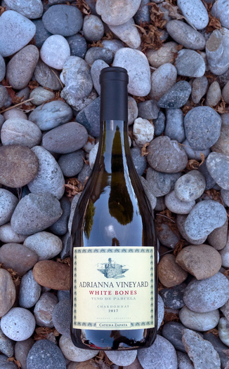 Bodega Catena Zapata 2017 'White Bones' Mendoza Chardonnay 750ml Wine Bottle