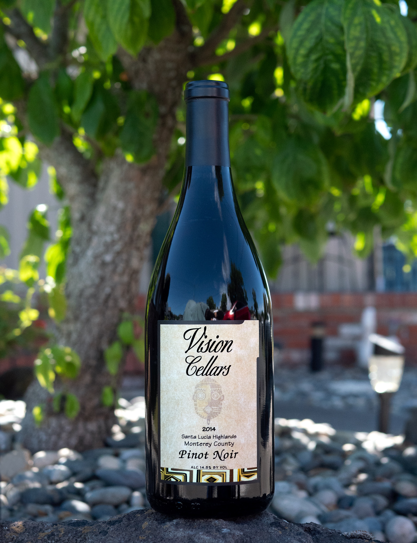 Vision Cellars 2014 Santa Lucia Highlands Pinot Noir 750ml Wine Bottle
