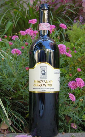 Moretti Omero 2004 Montefalco Sagrantino DOCG 750ml Wine Bottle
