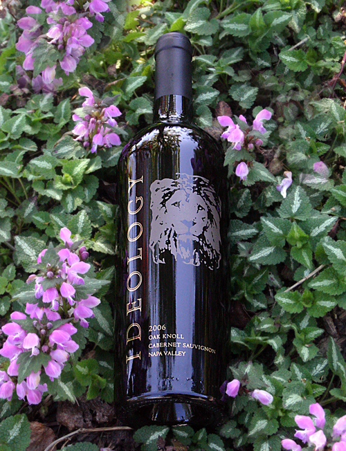 Ideology Cellars 2006 Oak Knoll Cabernet Sauvignon 750ml Wine Bottle