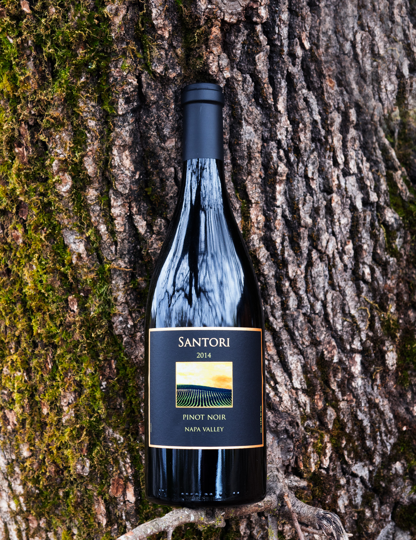 Santori 2014 Carneros Napa Valley Pinot Noir 750ml Wine Bottle
