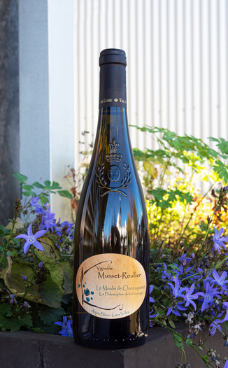 Domaine Musset-Roullier 2018 ‘Le Moulin de Chateaupanne’ Anjou Blanc 750ml Wine Bottle