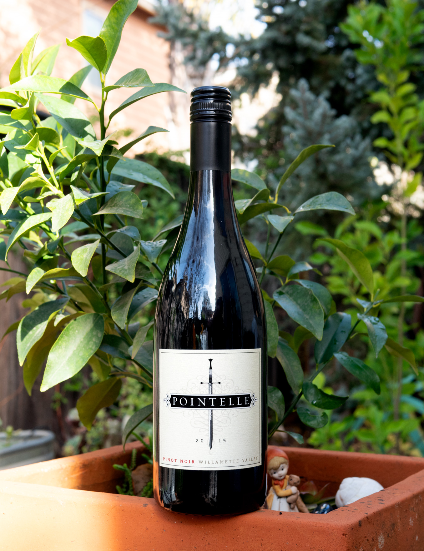 Pointelle 2015 Willamette Valley Pinot Noir 750ml Wine Bottle