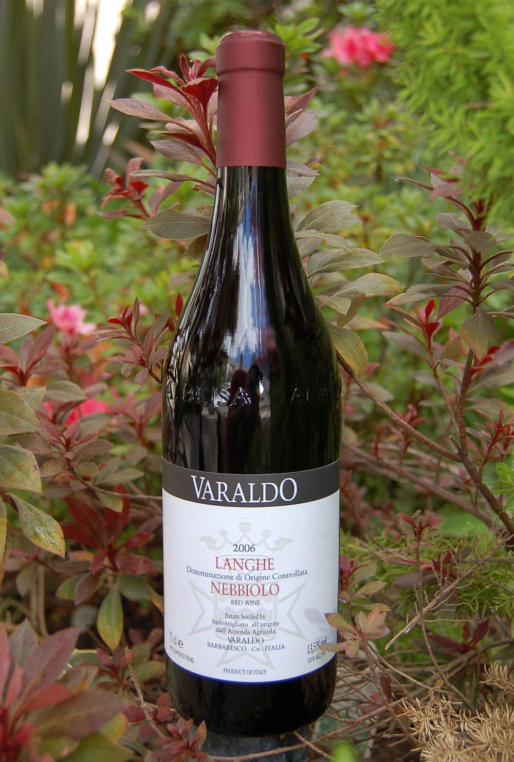 Az. Agr. Varaldo 2006 Langhe Nebbiolo DOC 750ml Wine Bottle