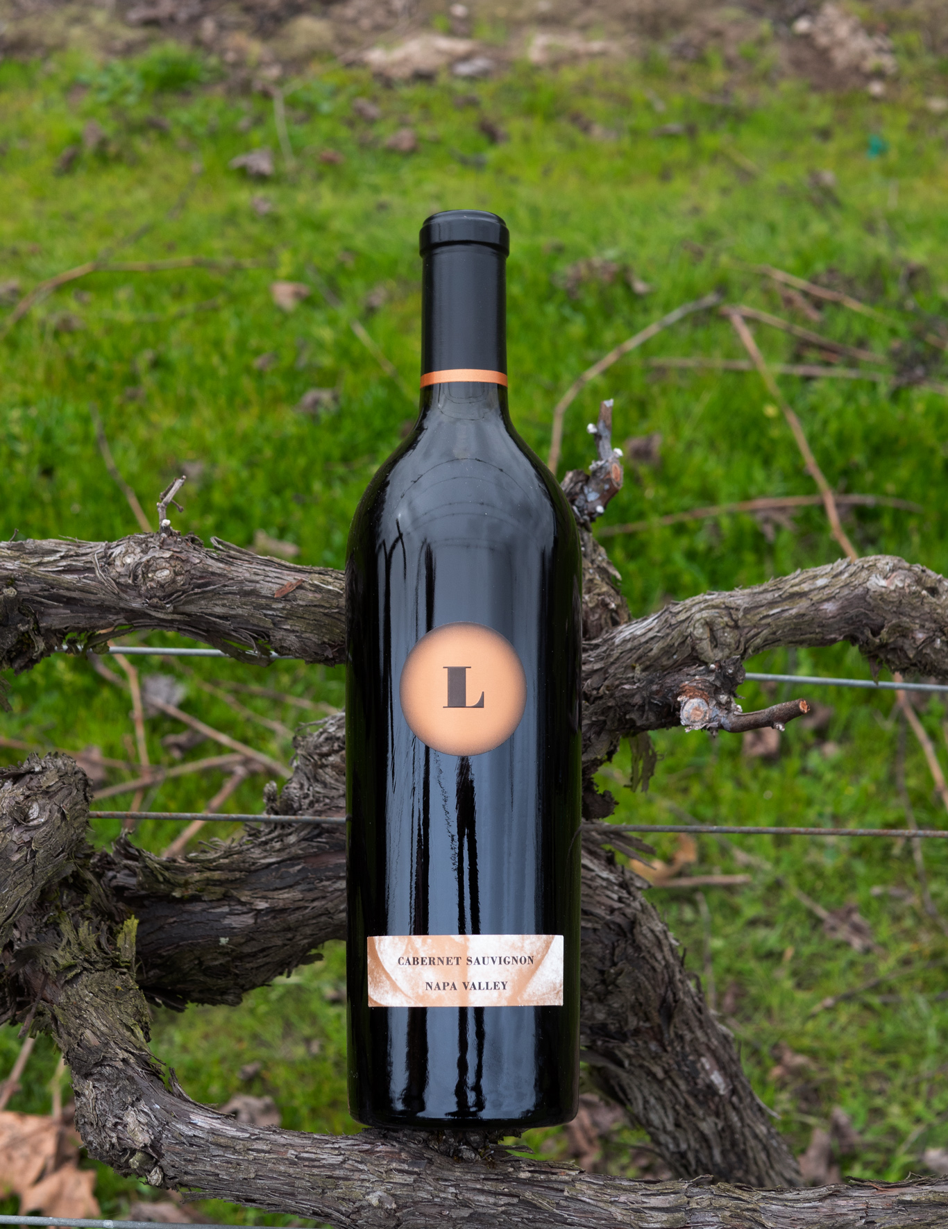 Lewis Cellars 2018 Napa Valley Cabernet Sauvignon 750ml Wine Bottle